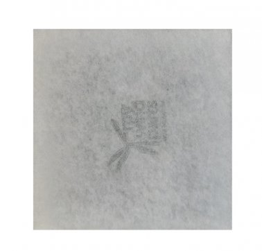 Air filter 289X289mm G4