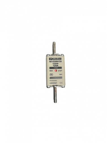 Fusible Electrique Ferraz Shawmut NH1/GL/GG/125A/500V NH12GG50V125