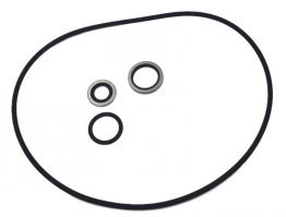 Seal Kit HDU 15/25 M2000 Viton