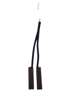 Phase Brush Mersen SF101 21 x 18 x 80